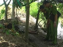 Cu ong 88 tuoi tu vong do bay diet chuot hinh anh