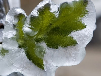 Khu vuc Nui Xe o Sa Pa co tuyet roi hinh anh