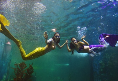 Clip nu sinh dong nang tien ca tung tang boi loi hinh anh