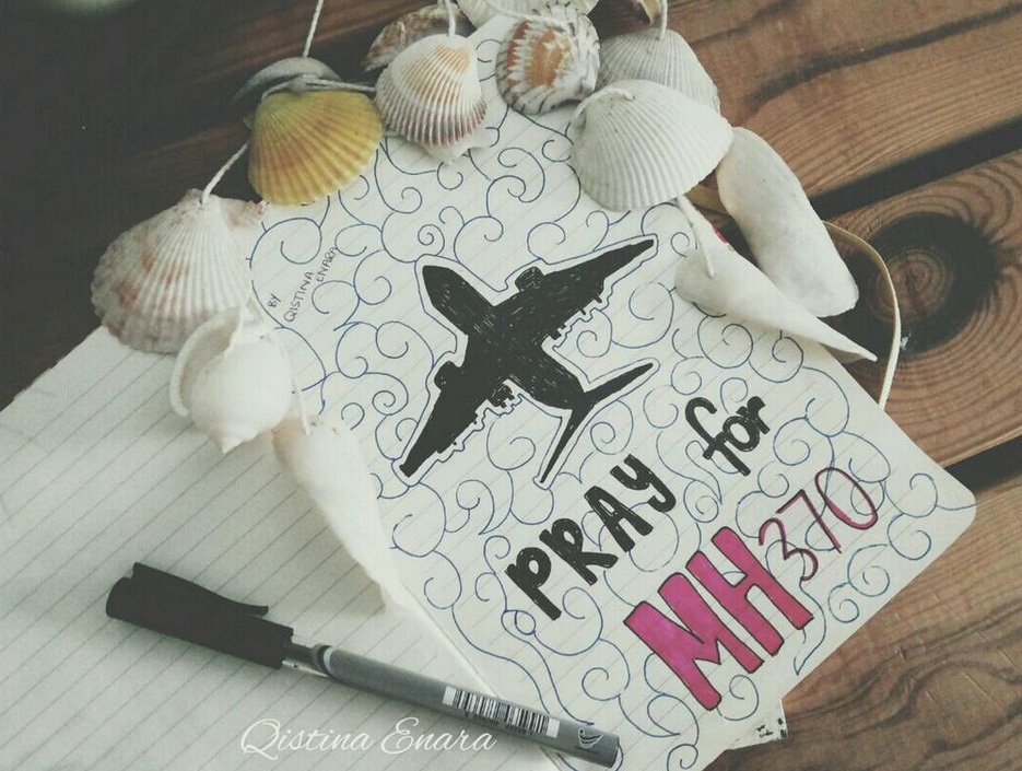 Cong dong mang cau nguyen cho phi hanh doan MH 370 hinh anh