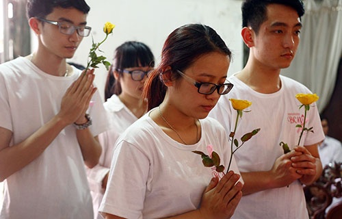 Hoa hong vang thay nen huong tien biet Thuong Sobey hinh anh