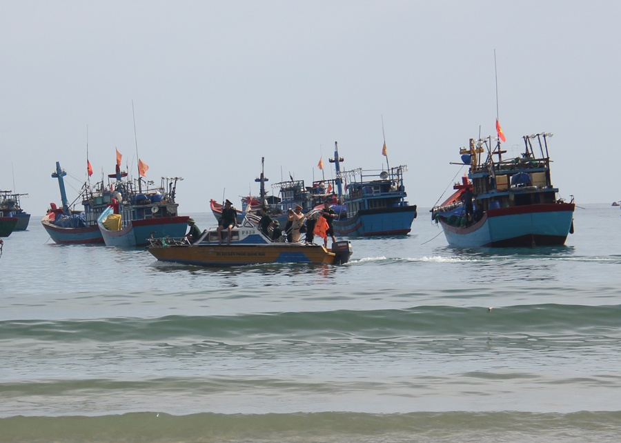 Vay kin tau co, tranh gianh co vat tai Quang Ngai hinh anh