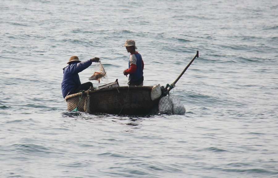 Sau bao, ngu dan ho hoi nhan qua tang cua bien hinh anh