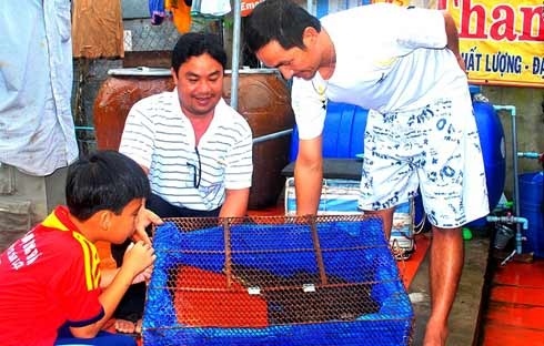 Rao ban ca sau biet... sua tieng cho vi phien phuc hinh anh