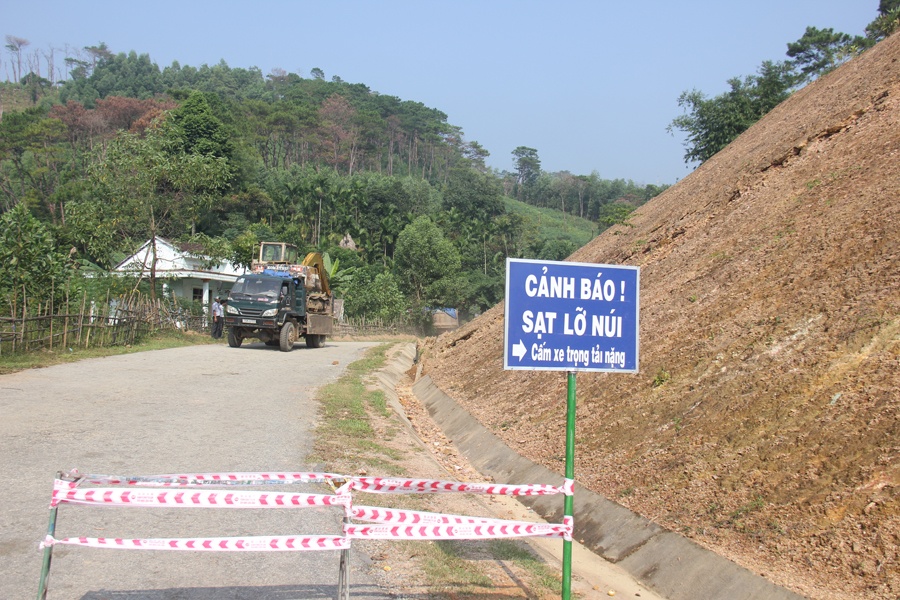 Hang ngan tan dat da 'treo' tren dau dan hinh anh