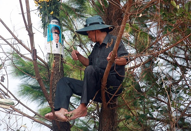 Treo cay, dung leu den vieng Dai tuong tai Vung Chua hinh anh