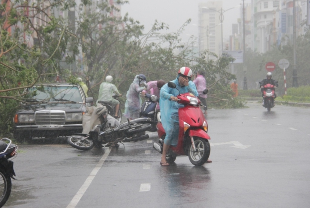 Gio van gam ru, nguoi va xe nga tren duong hinh anh