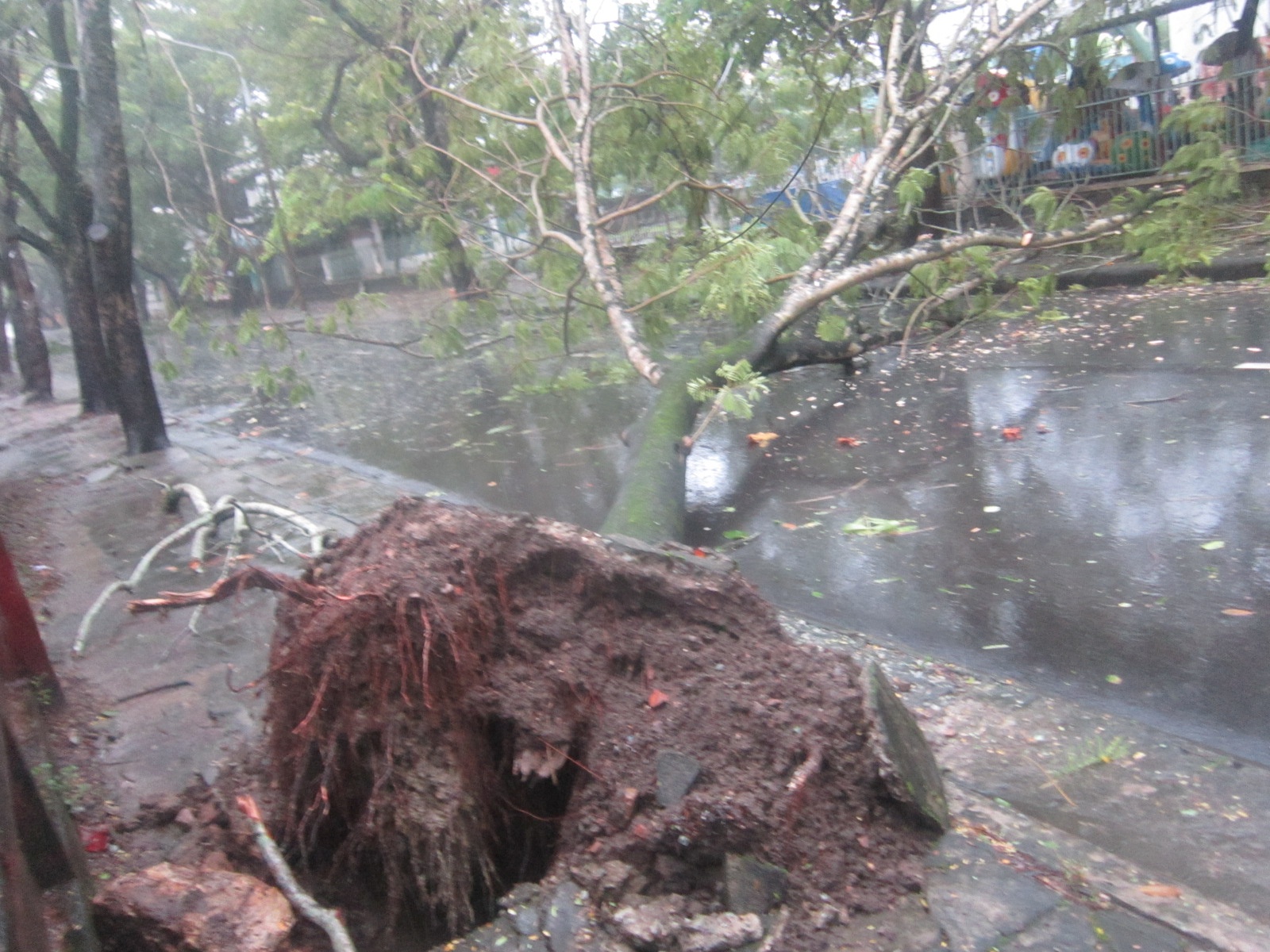 Clip Da Nang tan tanh sao bao Nari hinh anh