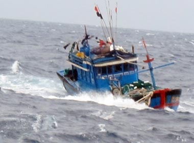 Tau cho dau dam chim tau ca, 7 ngu dan rot xuong bien hinh anh