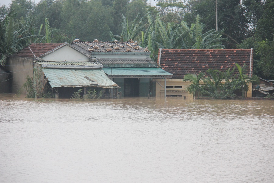 Nuoc chay nhu thac vao nha dan o Binh Dinh hinh anh