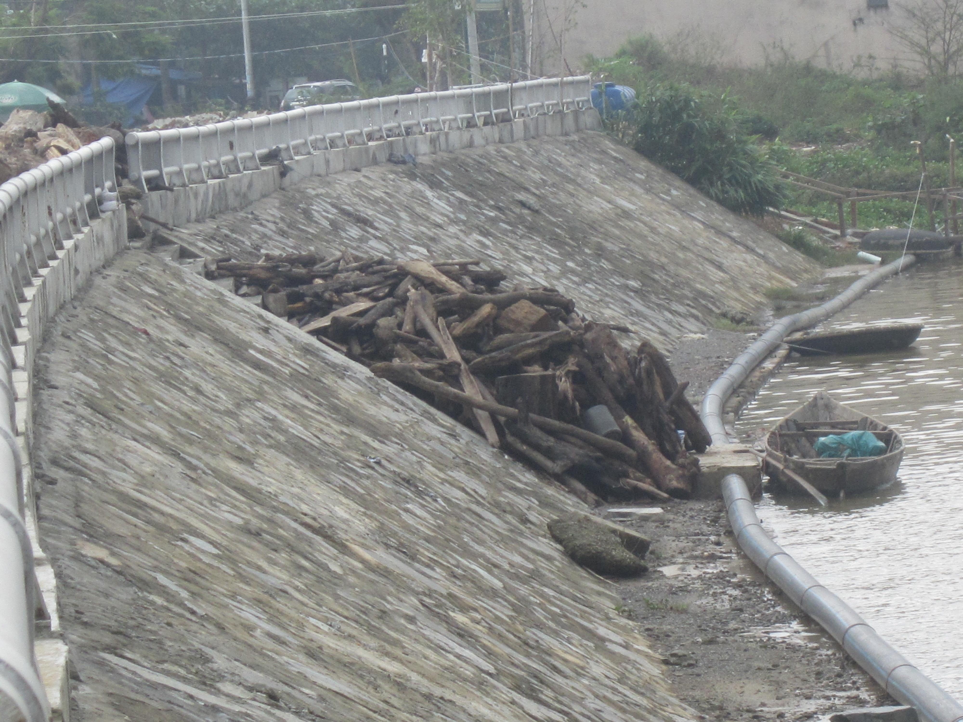 Go khong lo, rac chat thanh dong sau lu o mien Trung hinh anh