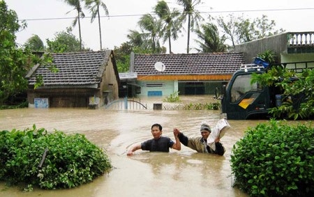 'Gay thiet hai phai den bu, dung ho tro kieu bo thi' hinh anh