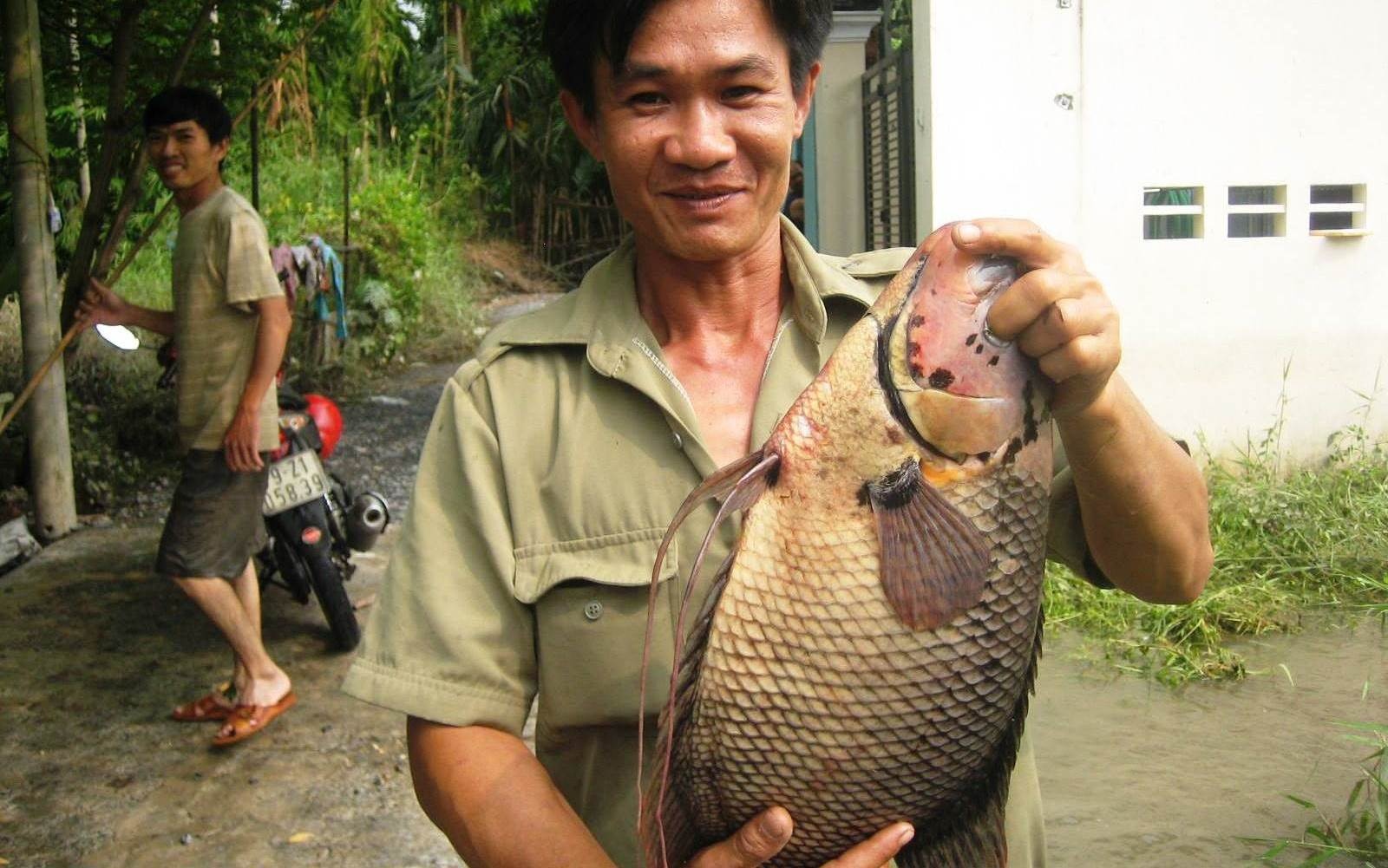 Nguoi Sai Gon bat ran, ca to giua dinh trieu cuong hinh anh