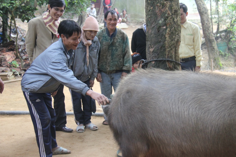 'Nguoi rung' Quang Ngai rut re so con trau hinh anh