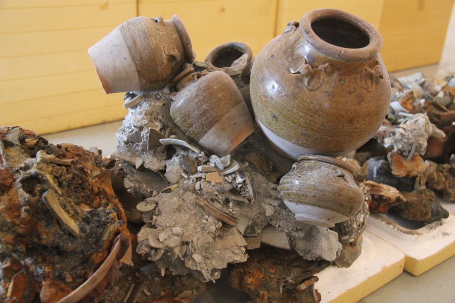 Hang ngan co vat quy hiem duoc truc vot tren tau dam hinh anh