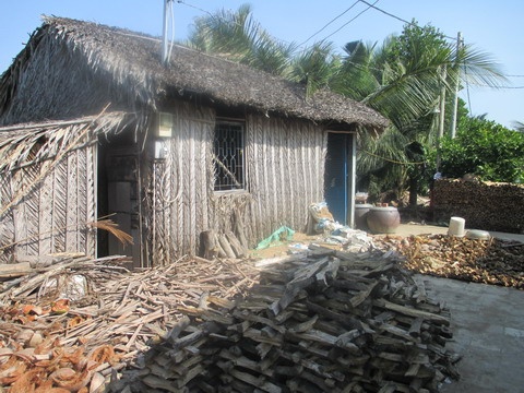 Don Tet o xom 'oc dao' giua Sai Gon hinh anh