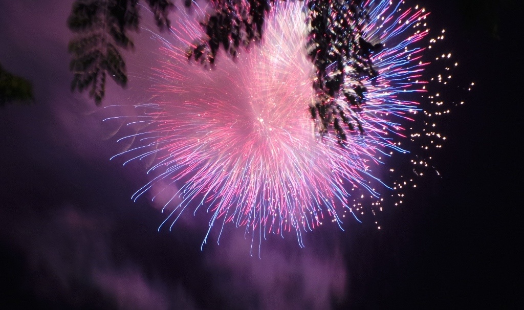 Chao xuan Giap Ngo hinh anh