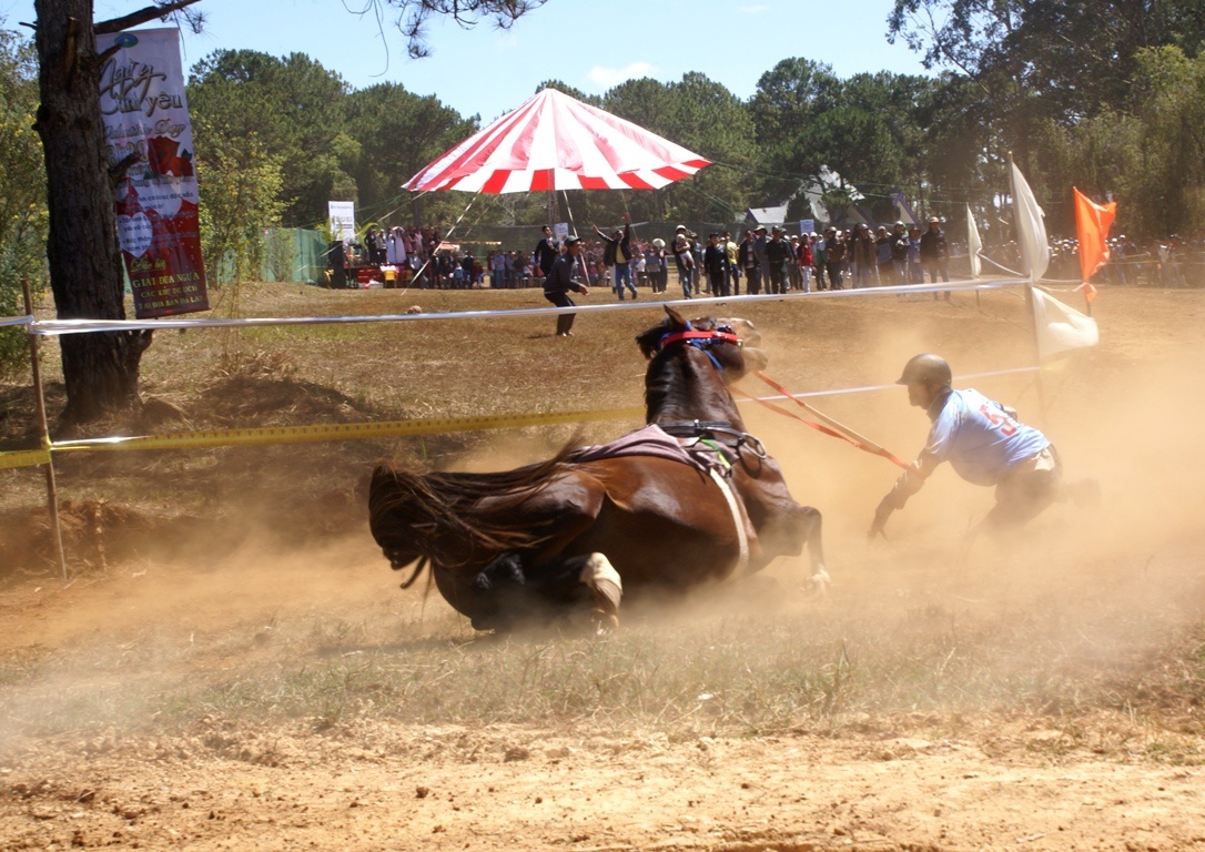 Dua ngua trong ngay Tinh nhan tai Da Lat hinh anh