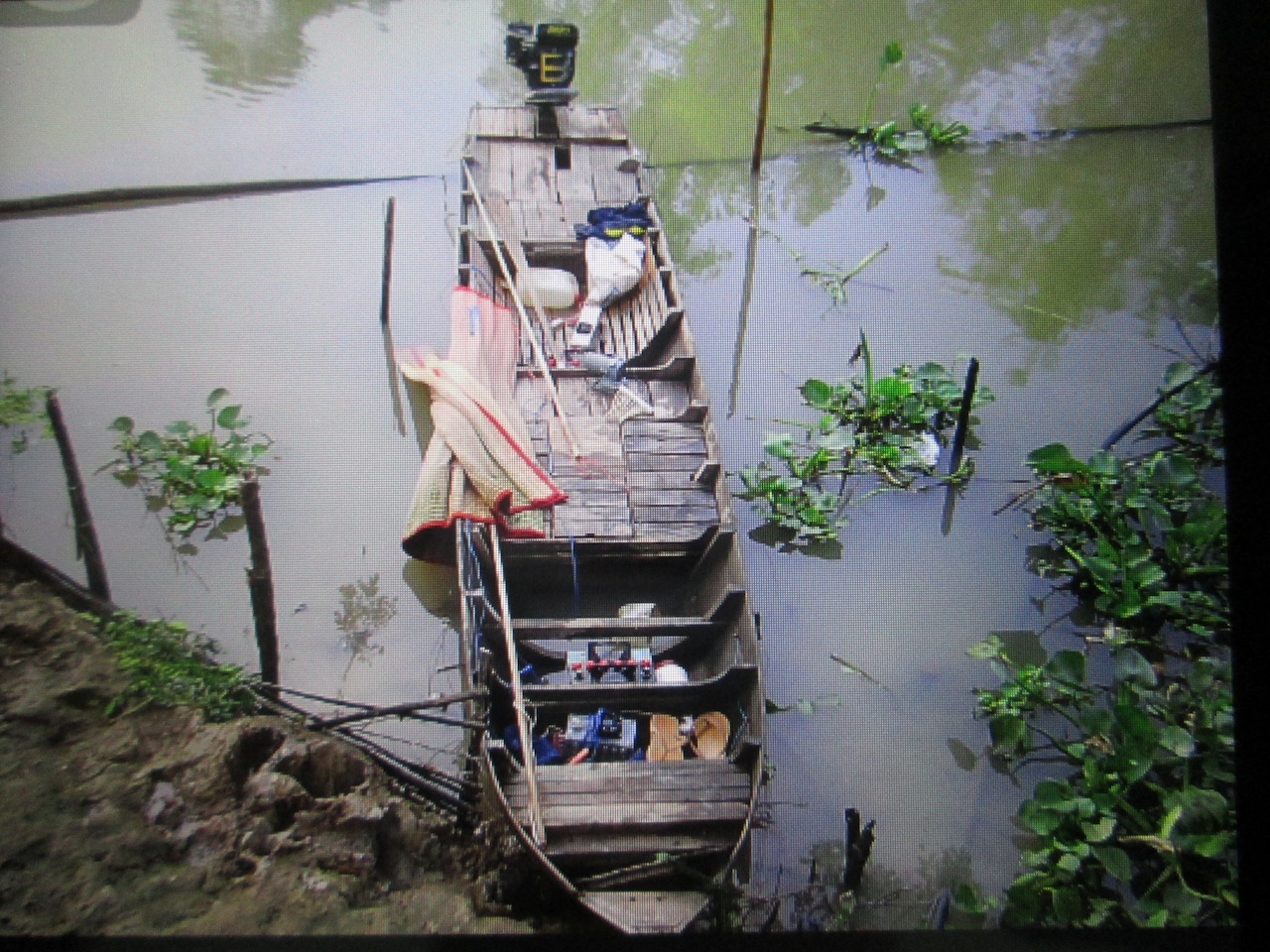 Tu vong do dung binh ac-quy bat ca hinh anh