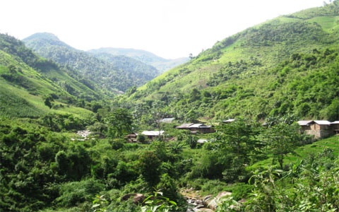 Noi thuoc phien tung duoc trong nhu ngo hinh anh