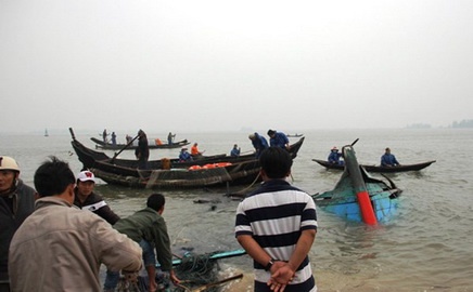 Luong ca khoang 50 tan keo tau chim xuong bien Ly Son hinh anh