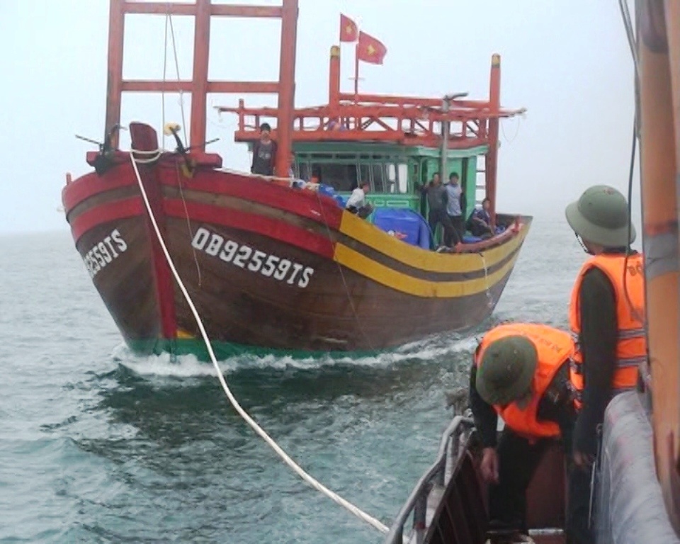 Cuu 8 ngu dan cung tau ca gap nan tren bien hinh anh