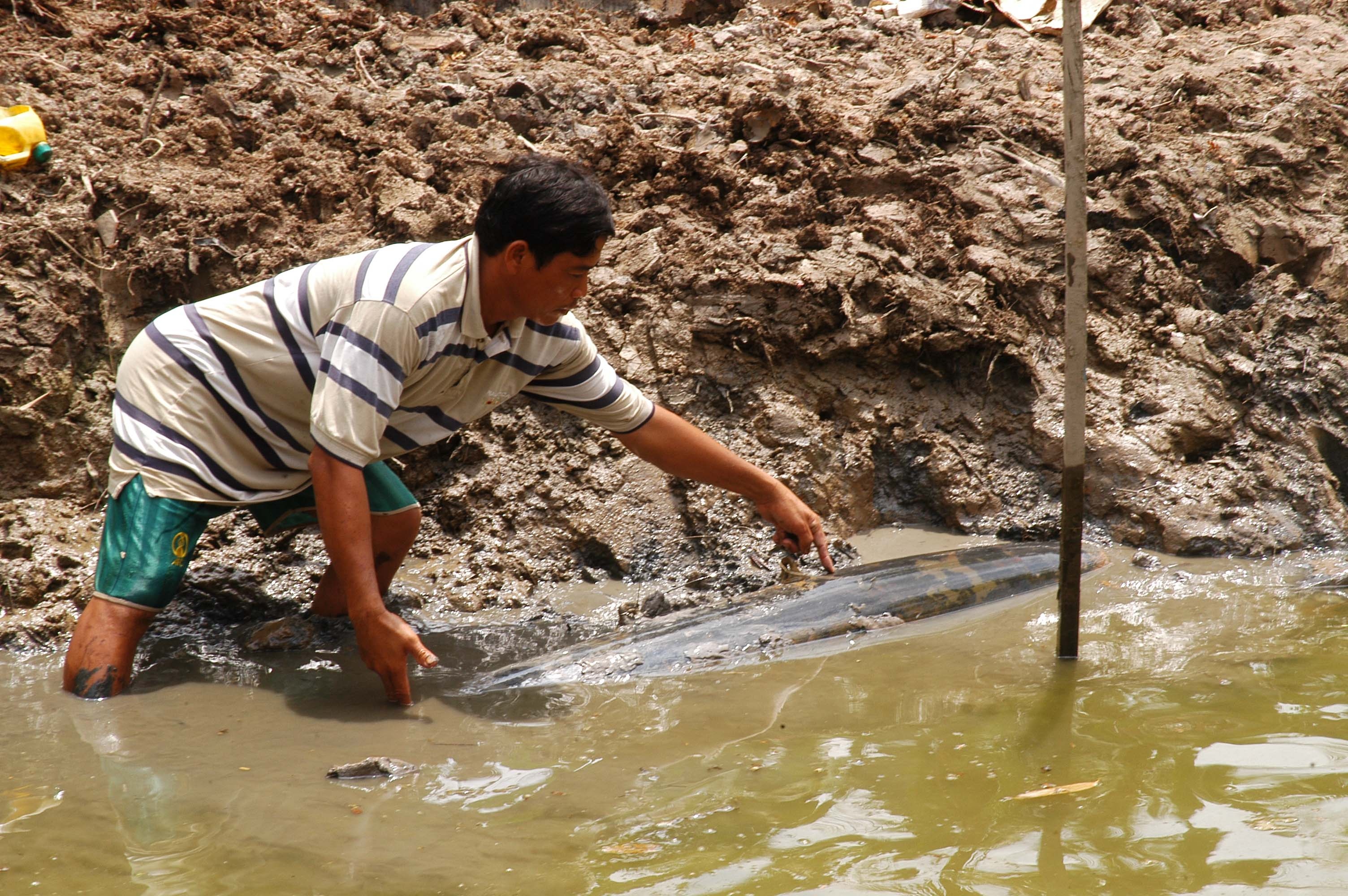 Qua bom 500kg, dai 1,5m trong ao ca o Ca Mau hinh anh