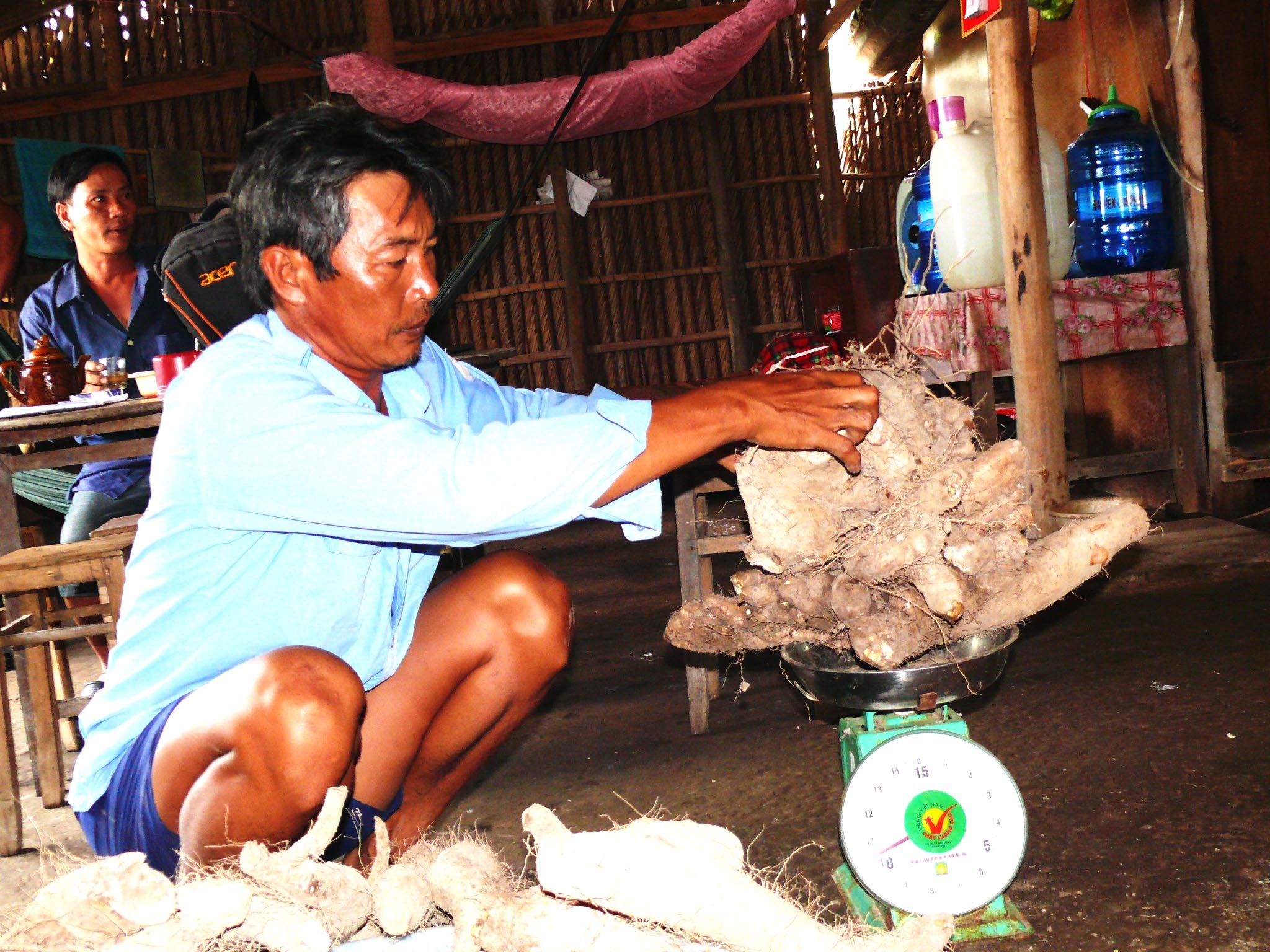 Cu khoai tu nang hon 64kg o Ca Mau hinh anh