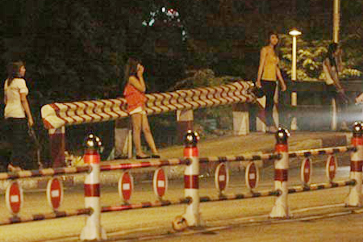 Vi sao TP.HCM khong lap 'pho den do' de quan ly mai dam? hinh anh