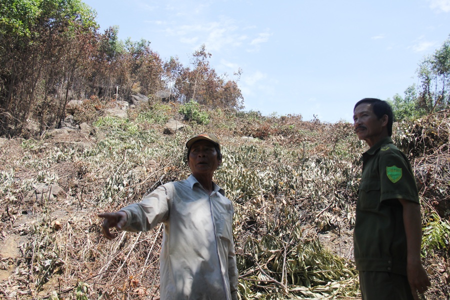 15 ngay xay ra 10 vu chay rung trong hinh anh