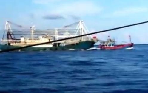 Cong bo clip tau TQ khong lo dam chim tau ca Viet Nam hinh anh