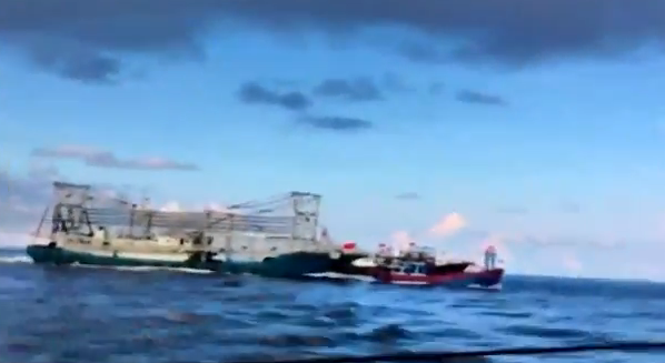 Tau Trung Quoc tong chim tau ca Da Nang hinh anh