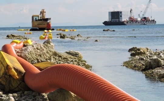 Dan dao Ly Son hao huc don dien ve hinh anh