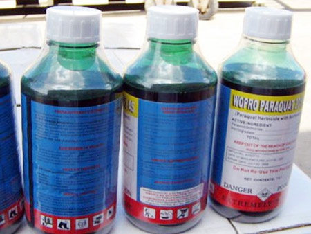 Dau doc ong, chau ngoai 16 tuoi lanh 7 nam tu hinh anh