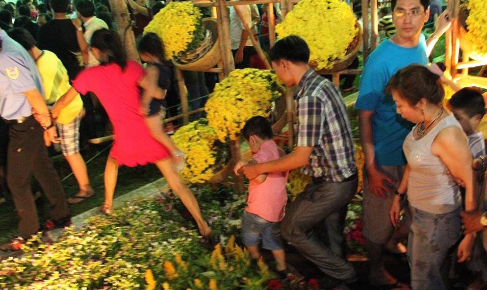 Nhieu nguoi dam nat hoa, bao ve bat luc dung nhin hinh anh