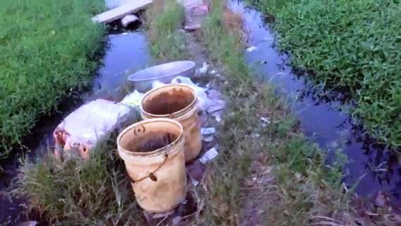 Xô chậu cùng nhiều vỏ thuốc trừ sâu vứt bên đồng rau muống ở phường Thạnh Xuân. Ảnh: Trường Nguyên.