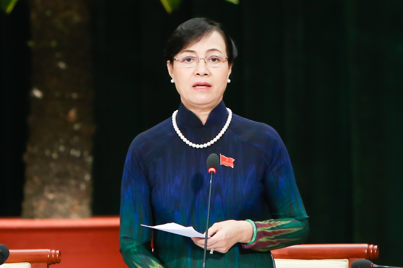 'HDND khong han che quyen phat bieu ve tham nhung' hinh anh