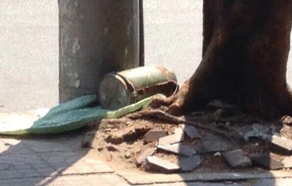 Vat la o via he Sai Gon khong phai chat no hinh anh