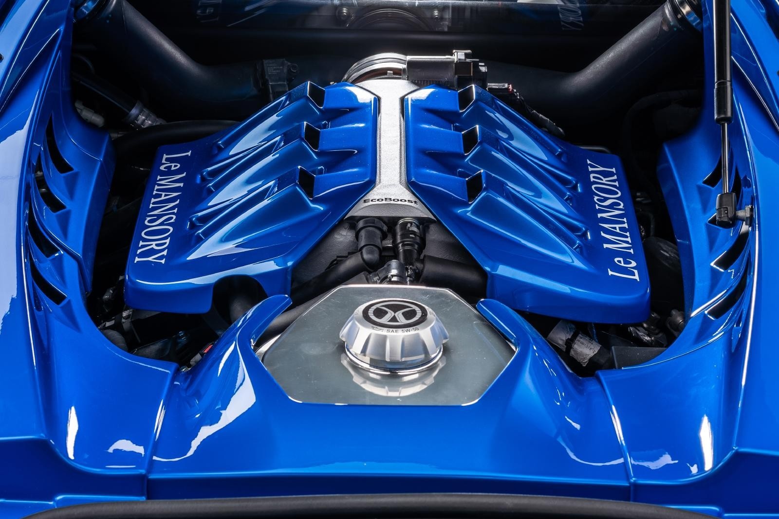 xe độ,  ford,  mansory,  ford gt,  ford gt mansory ảnh 9 xe do,  ford,  mansory,  ford gt,  ford gt mansory anh 9