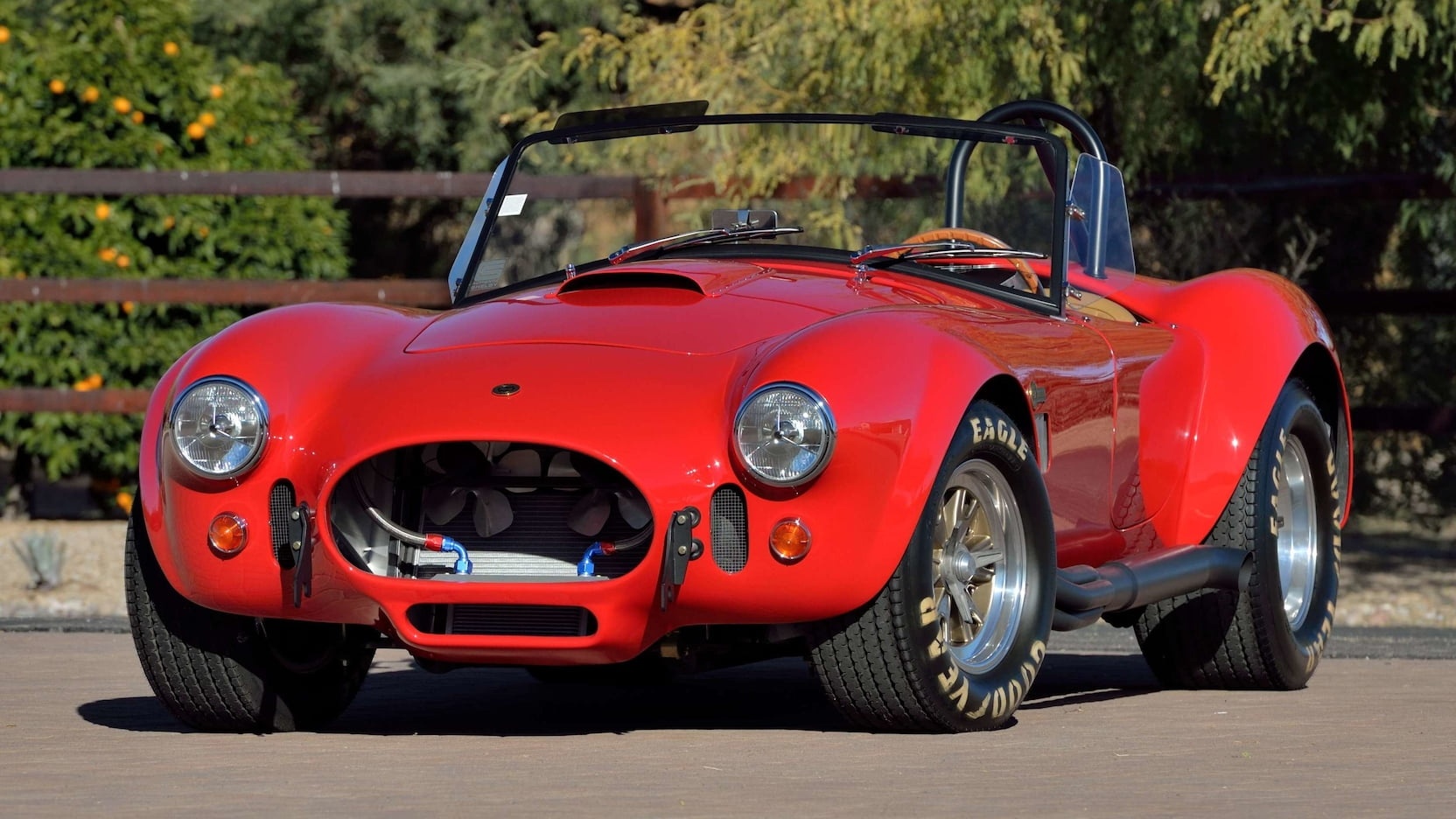 paul walker,  shelby,  shelby 427 cobra,  mecum anh 1