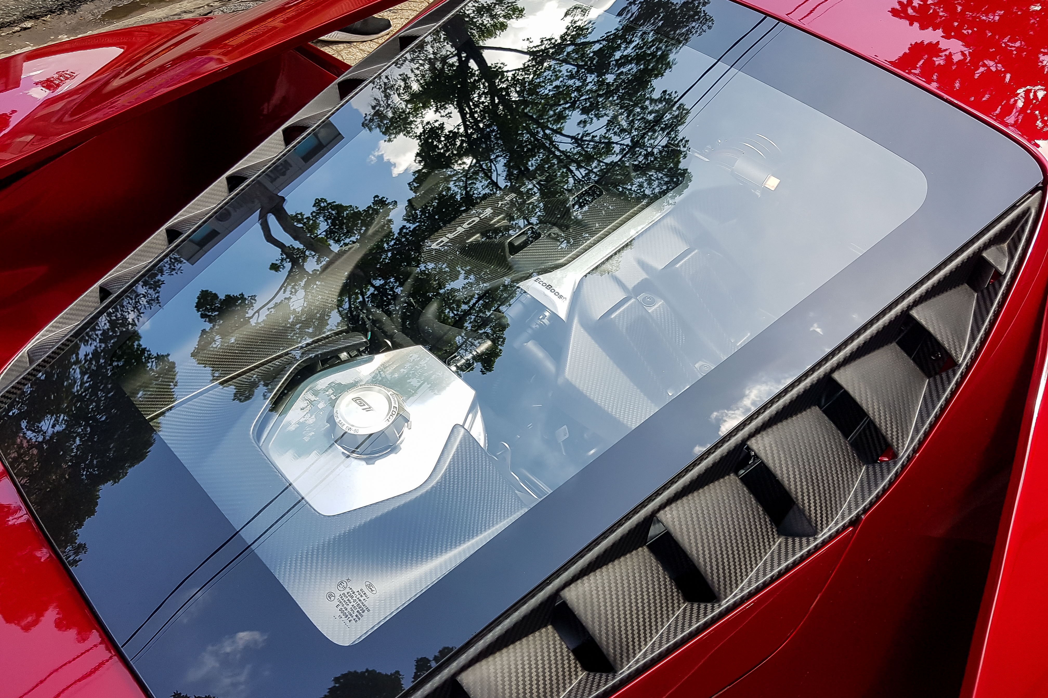 ford,  ford gt,  ford gt viet nam,  sieu xe,  minh nhua anh 10