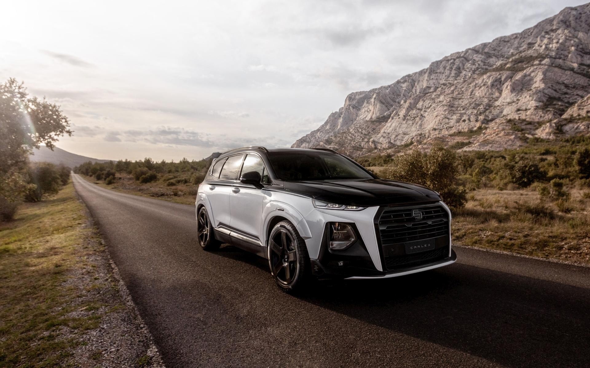 Hyundai Santa Fe do anh 11