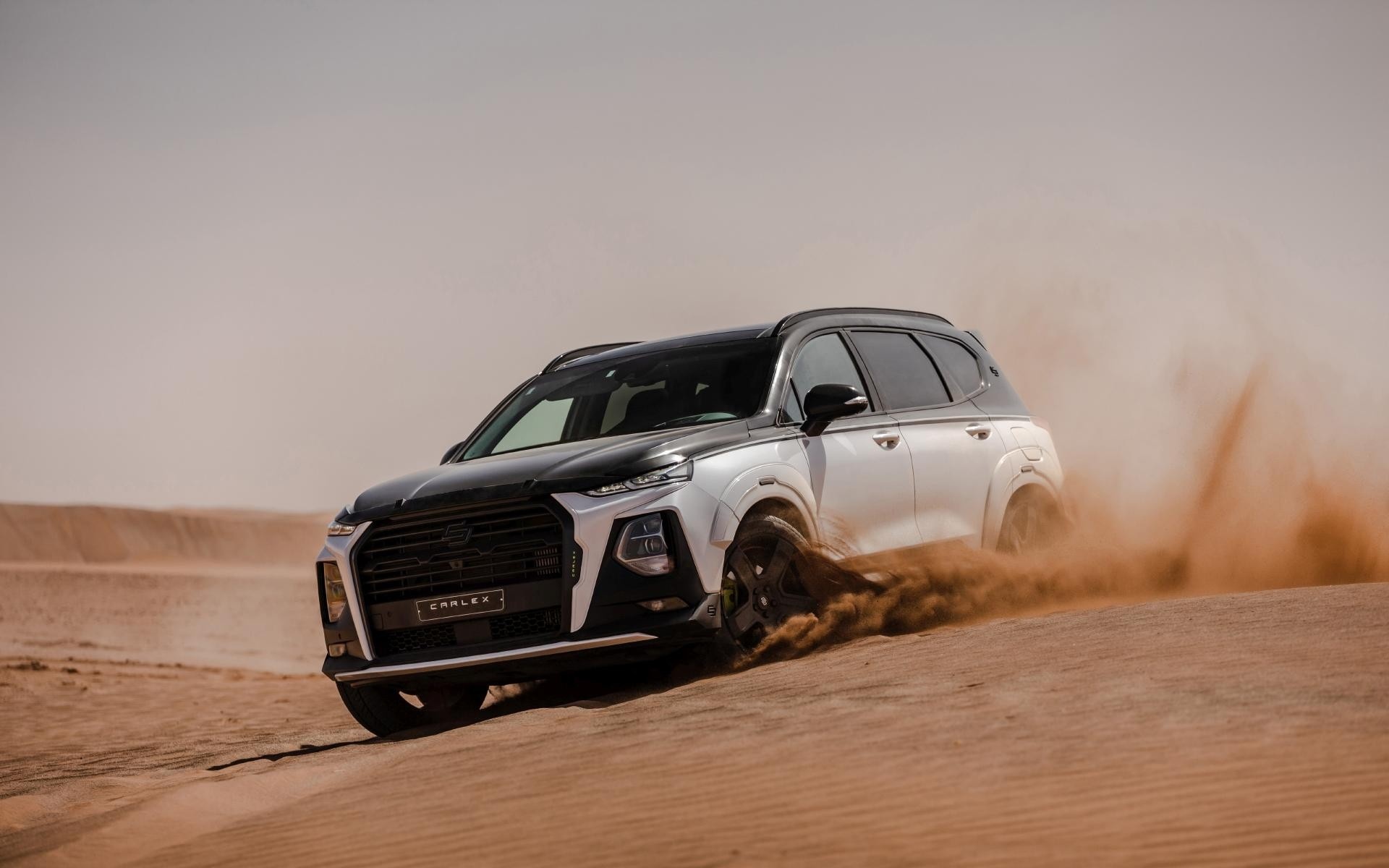 Hyundai Santa Fe khac biet va ham ho voi goi do than rong hinh anh