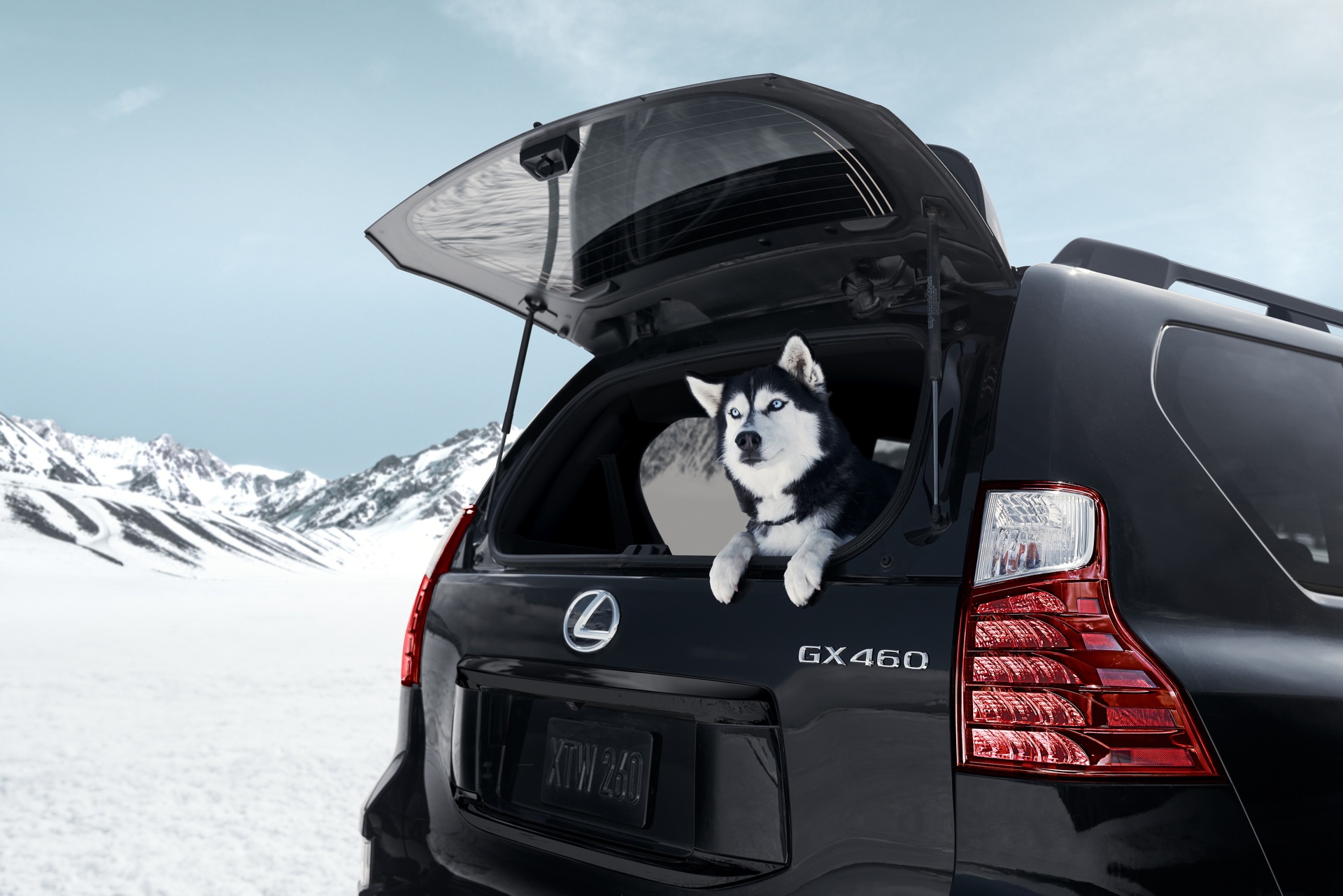 lexus,  lexus gx460,  gx460,  gx460 black line,  gx460 premium,  lexus gx460 black line,  lexus gx460 premium,  gx 460,  gx 460 black line,  lexus gx 460,  toyota anh 6