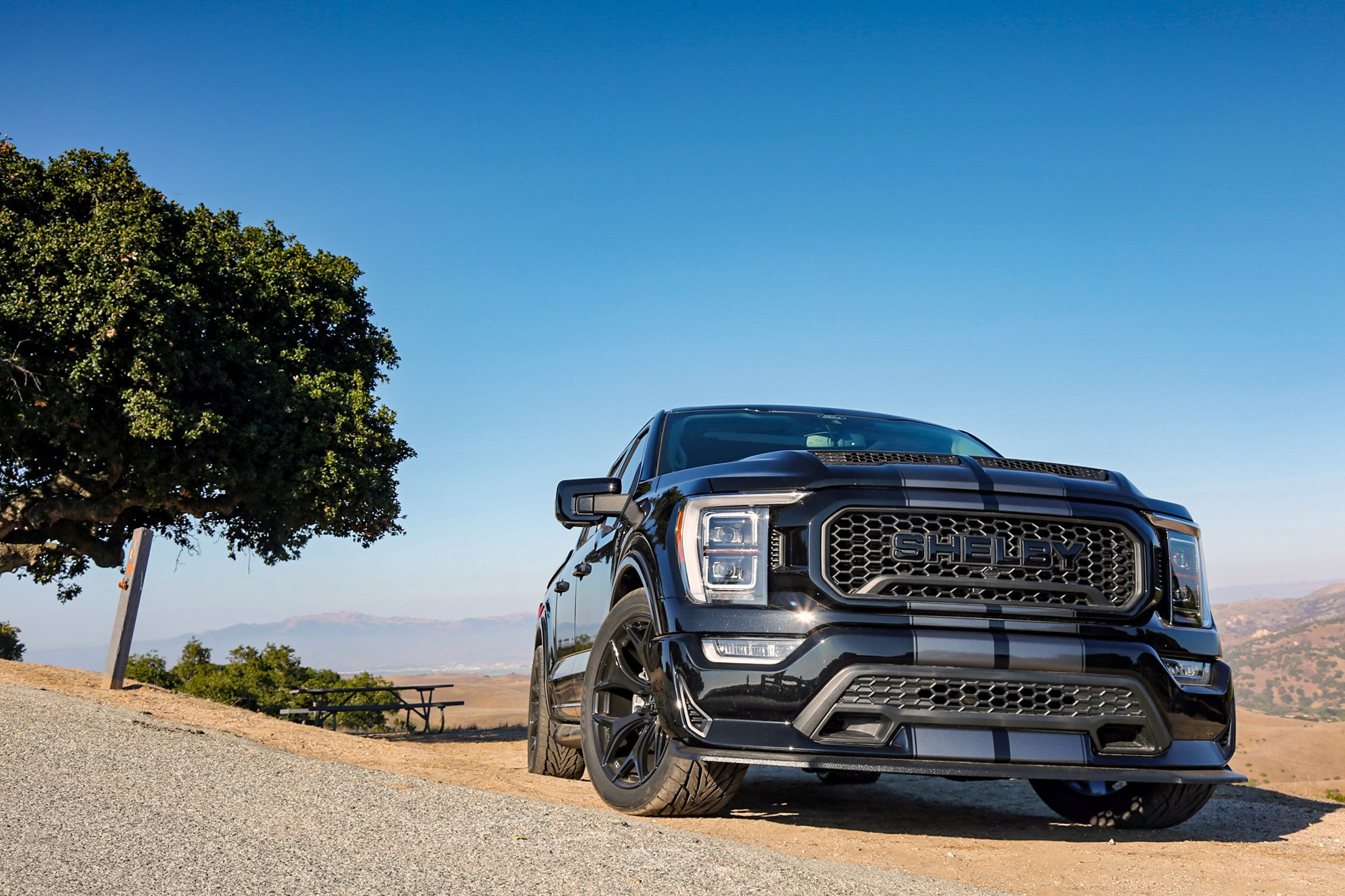 ban tai pickup truck,  ford f-150 anh 14