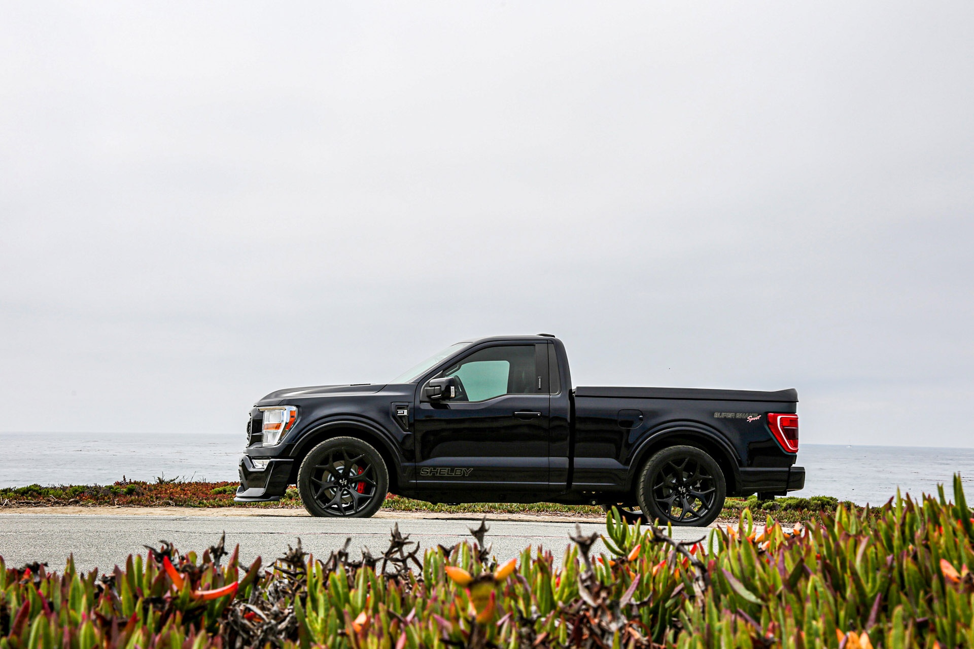 ban tai pickup truck,  ford f-150 anh 13