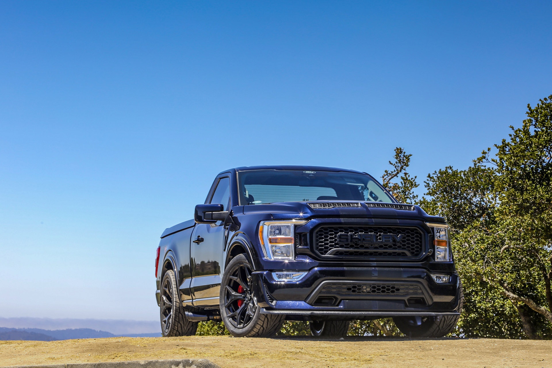 ban tai pickup truck,  ford f-150 anh 15