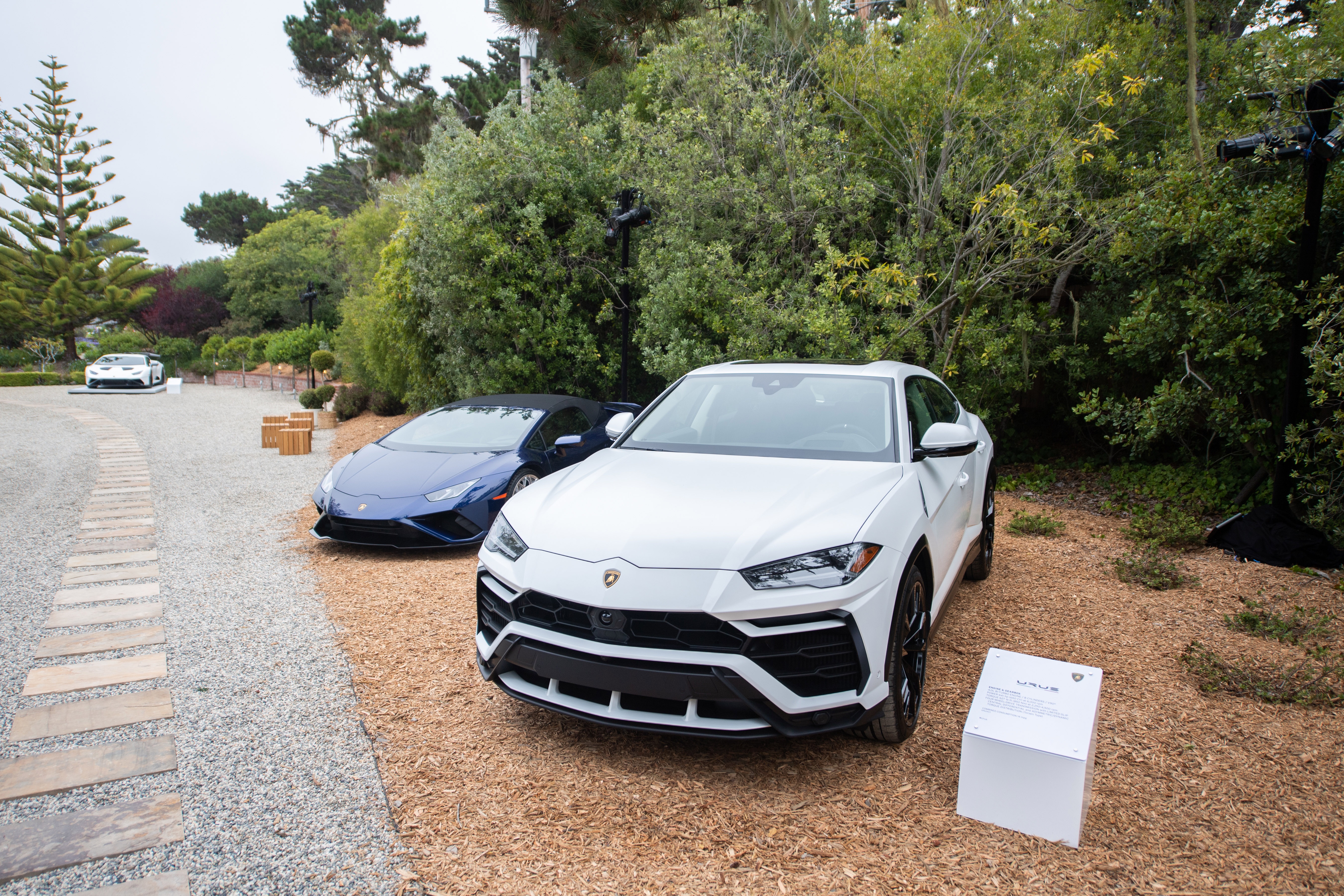 lamborghini,  ultimae,  urus,  huracan,  aventador,  countach,  sian,  fkp 37,  the quail,  the quail 2021,  Essenza SCV12,  Essenza,  SCV12,  countach lpi800-4,  huracan sto,  huracan evo ảnh 13 lamborghini,  ultimae,  urus,  huracan,  aventador,  countach,  sian,  fkp 37,  the quail,  the quail 2021,  Essenza SCV12,  Essenza,  SCV12,  countach lpi800-4,  huracan sto,  huracan evo anh 13
