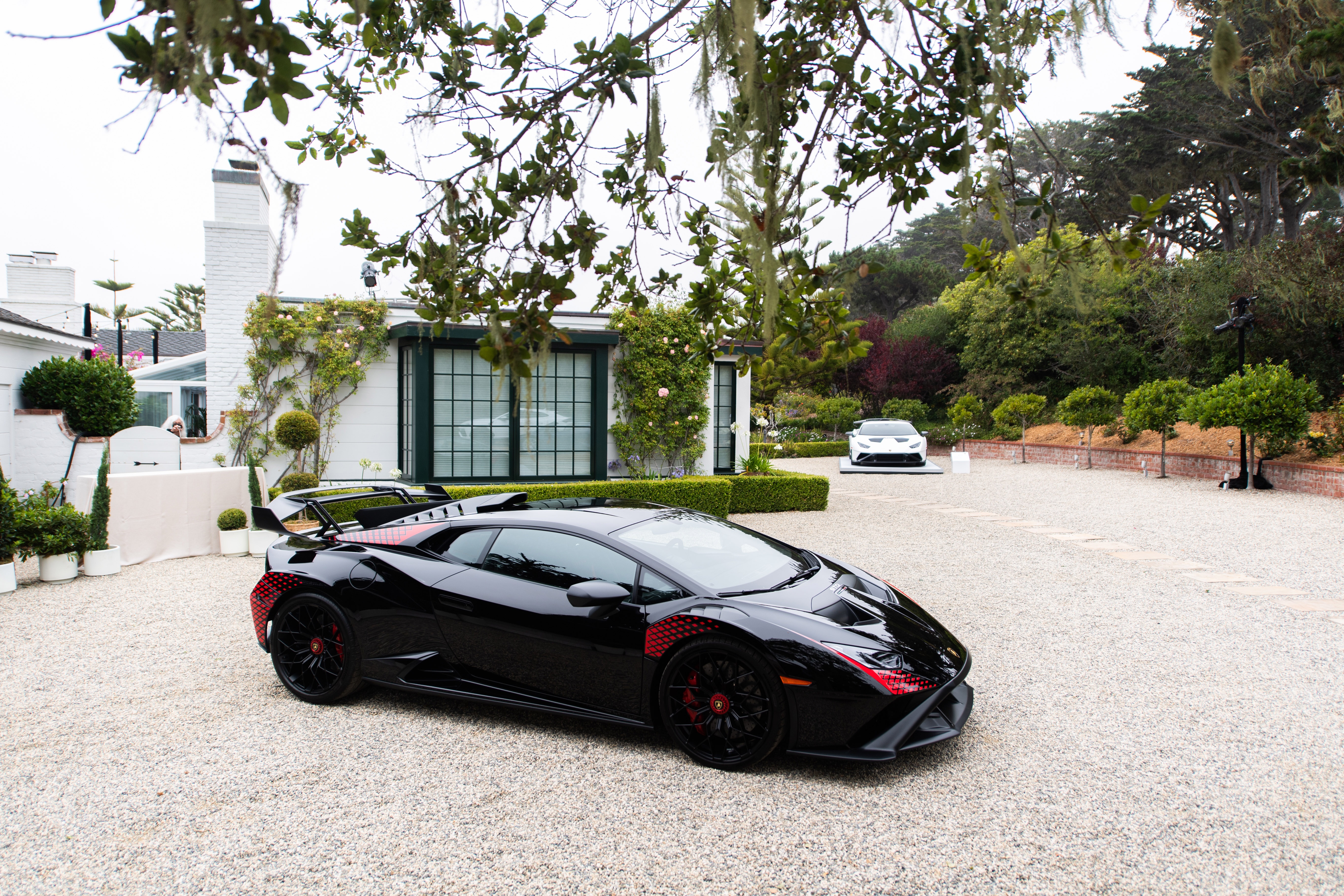 lamborghini,  ultimae,  urus,  huracan,  aventador,  countach,  sian,  fkp 37,  the quail,  the quail 2021,  Essenza SCV12,  Essenza,  SCV12,  countach lpi800-4,  huracan sto,  huracan evo ảnh 12 lamborghini,  ultimae,  urus,  huracan,  aventador,  countach,  sian,  fkp 37,  the quail,  the quail 2021,  Essenza SCV12,  Essenza,  SCV12,  countach lpi800-4,  huracan sto,  huracan evo anh 12