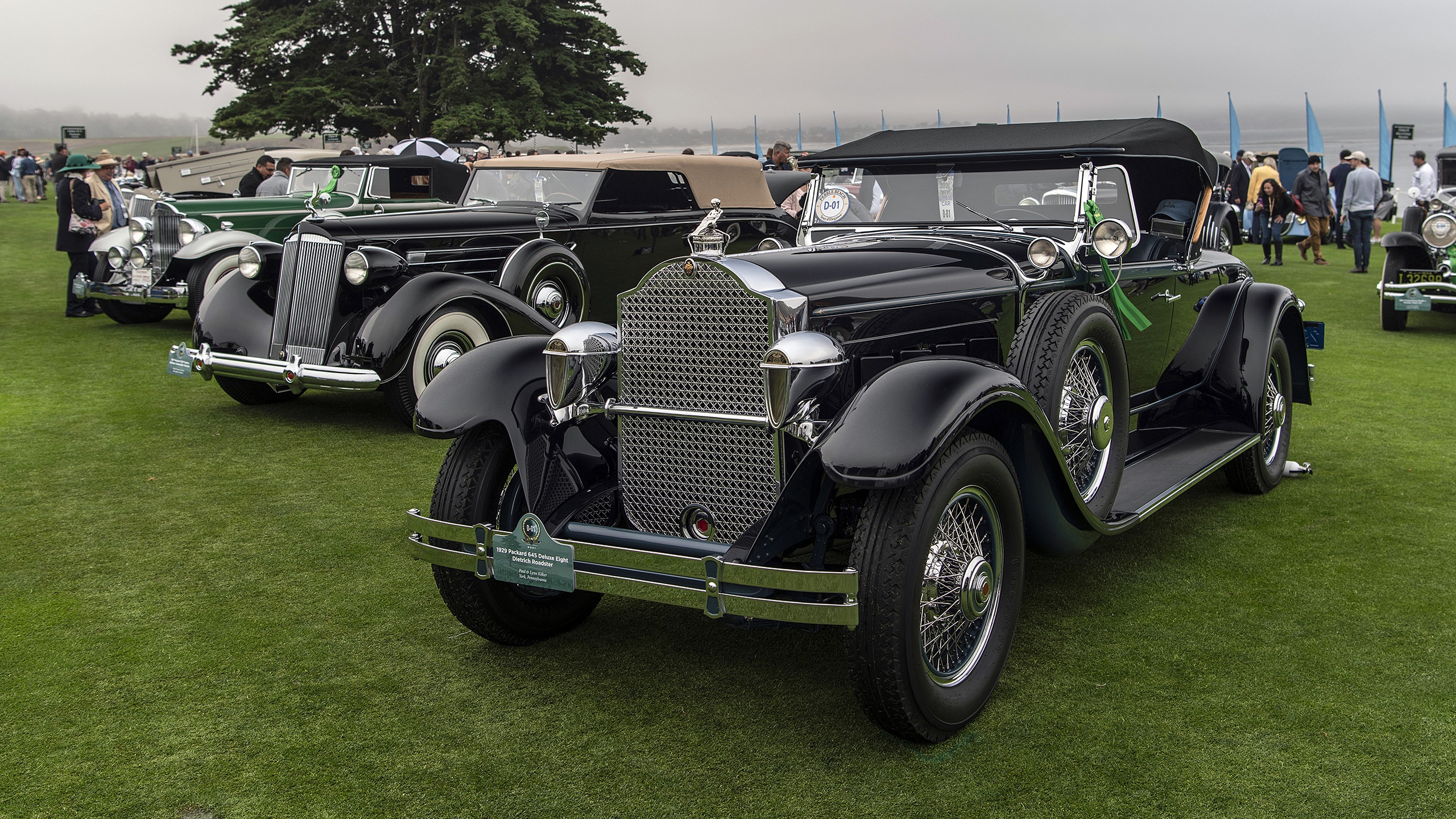 Monterey,  Monterey Car Week,  The Quail,  Pebble Beach Concours d'Elegance,  Pebble,  lamborghini,  ferrari,  mercedes-benz,  mercedes,  maserati,  amg gt,  mercedes-amg gt,  bugatti,  divo,  bugatti type 57,  maserati,  rolls-royce,  bentley,  alfa romeo,  audi,  porsche,  porsche 917,  ferrari 250 gto,  bugatti type 57 sc atlantic,  type 57 sc atlantic,  lamborghini countach,  countach,  koenigsegg,  ford,  ford gt,  hennessey,  hennessey venom f5,  gemera,  regera,  jesko,  jesko absolut,  mclaren,  rimac,  Pebble Beach anh 46